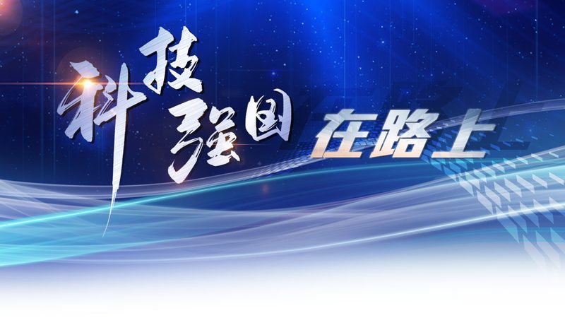 科技服务招标报价：规避误区，精准决策