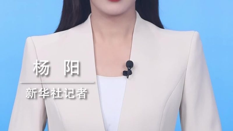 数据服务报价单，揭秘企业选择背后的关键要素